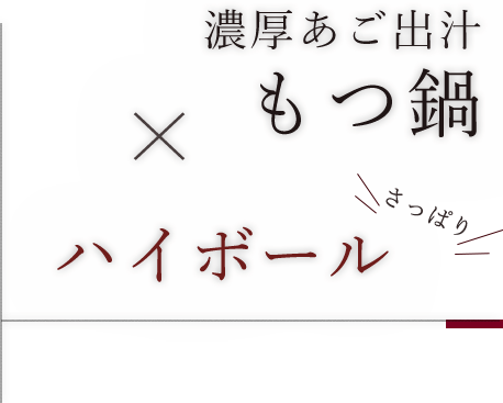 濃厚あご出汁もつ鍋